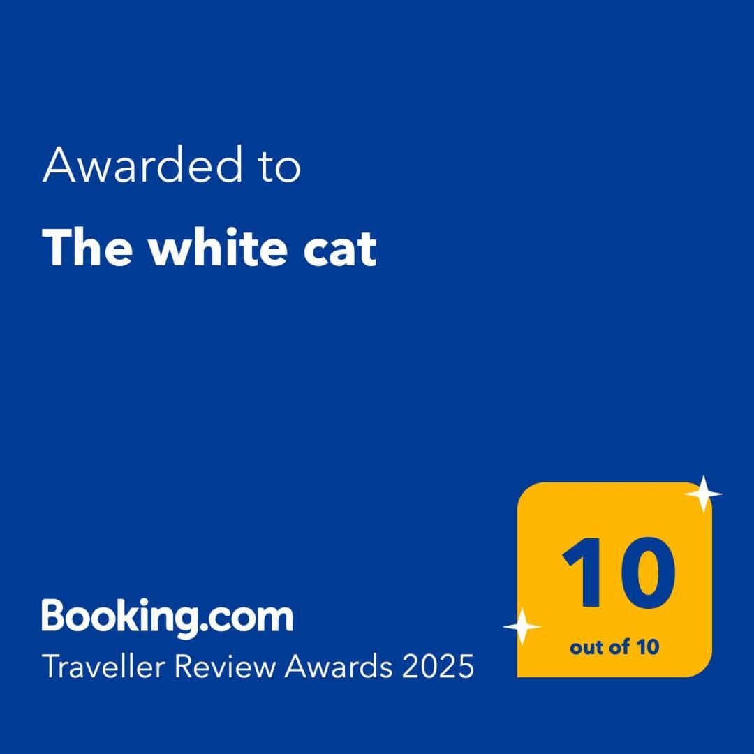 The White Cat Nápoles Exterior foto